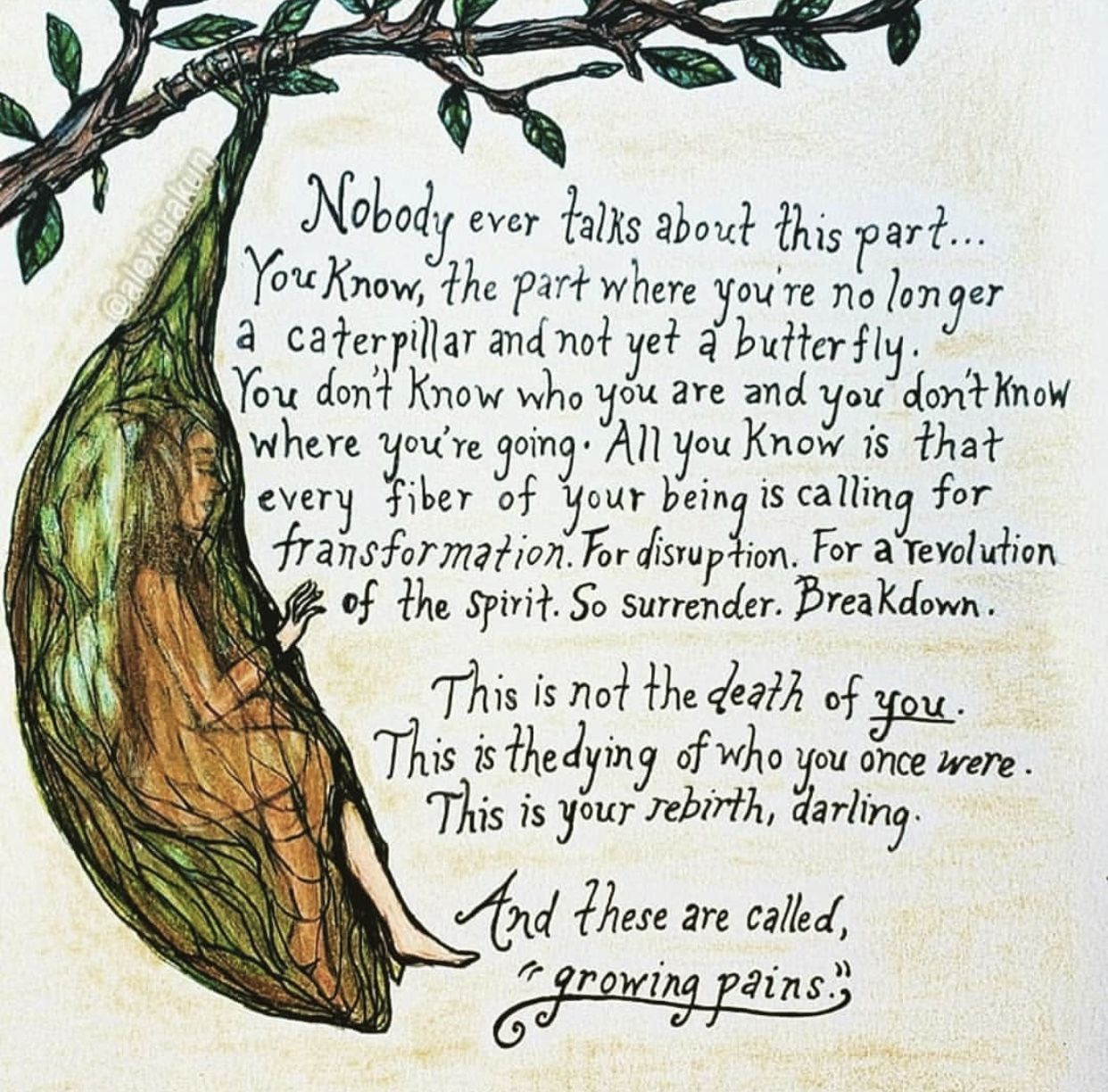 Growing Pains A hand-drawn image of a cocoon hanging from a branch. A woman is beginning to emerge from the cocoon. Text overlays the image: Nobody every talks about this part...You know, the part where you're no longer a catepillar and not yet a butterfly. You don't know who you are and you don't know where you're going. All you know is that every fiber of your being is calling for a transformation. For disruption. For a revolution of the spirit. So surrender. Breakdown. This is not the death of *you*. This is the dying of who you once were. This is your rebirth, darling. And these are called 'growing pains'.