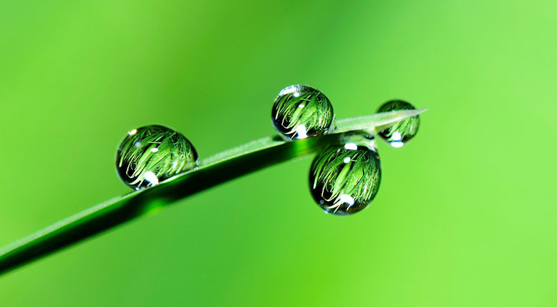 Water droplets and grass. Image by ju Irun from Pixabay